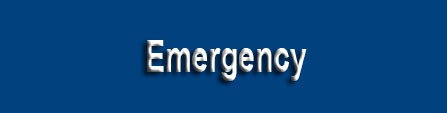 dr_Sabieha_Pediatric_Dentistry_Orthodontics_emergency.png